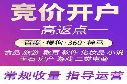 SEM广告投放案例：打造品牌影响力